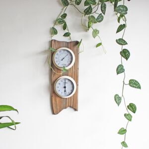 Botanical Hygrometer And Thyme Gift Set