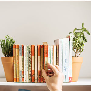 Living Plant Pot Bookends