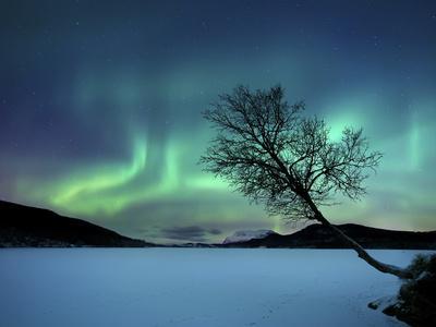 Aurora Borealis over Sandvannet Lake in Troms County, Norway - Photographic Print, 16x12