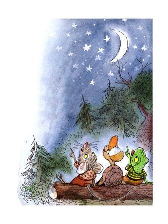 Counting the Stars - Turtle - Giclee Print, 12x16