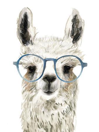 Hip Llama II - Wall Art Print, 12x16