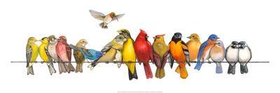 Large Bird Menagerie - Wall Art Print, 24x8