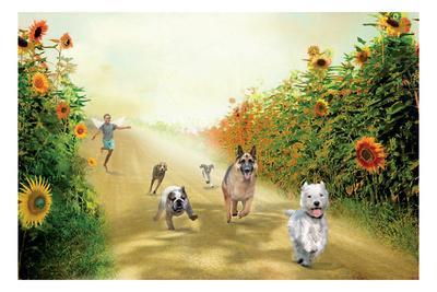 Leading The Pack - Wall Art Print, 18x12